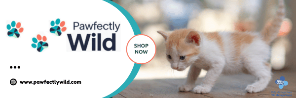 Company News & Updates