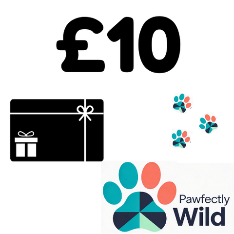 Gift Card - £10 | £25 | £50 | £100